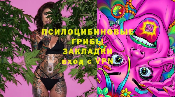 соль ск Алексеевка