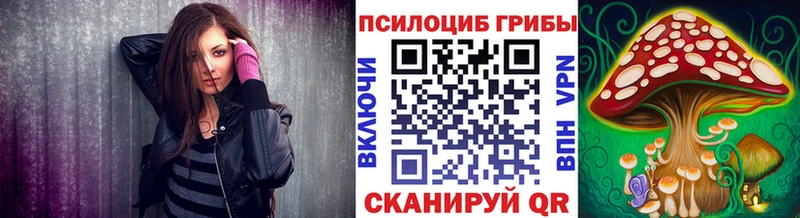 Галлюциногенные грибы Psilocybine cubensis  Куйбышев 