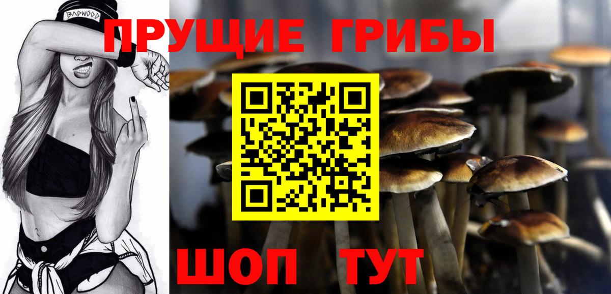 Псилоцибиновые грибы MAGIC MUSHROOMS  Галлюциногенные грибы Magic Shrooms  Куйбышев  Вход с VPN 