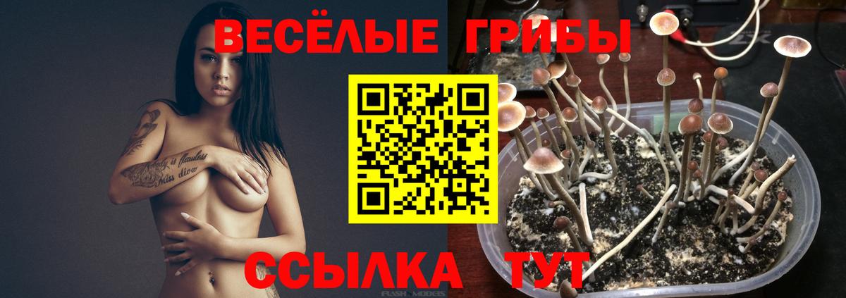 Галлюциногенные грибы мухоморы Куйбышев